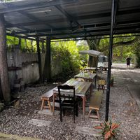 Open air seating under huge trees  at Chia Eatery in Dumaguete