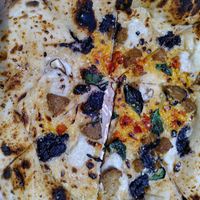 Bomba at Dr Drooly in Munich