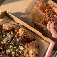 Magic Mushroom & Dr. Drooly   at Dr Drooly in Munich