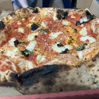 Marinara  at Dr Drooly in Munich