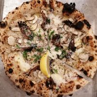 Shroomie at Dr Drooly in Munich