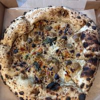   at Dr Drooly in Munich