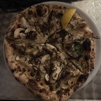 Schroomy  at Dr Drooly in Munich