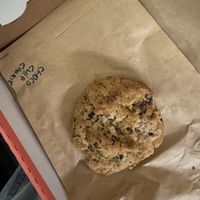   at Dr Drooly in Munich