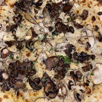 Shroomie  at Dr Drooly in Munich