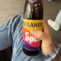 Cheeky Spezi sitting in the entryway  at Dr Drooly in Munich