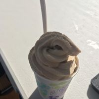 Coffee soft serve at Viva! Vegetarian Grill - Food Cart in Eugene
