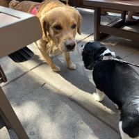   at Water Street Bagel Co in Syracuse