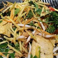  at Hanoi September in Cologne