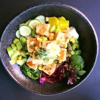 Vegan Poke Bowl at Ichi Ni San in Daytona Beach