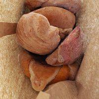 I don't know which is which but I grabbed them all! at La Espiga De Oro in Salida