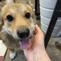   at Nuoc Leo Chay in Ho Chi Minh City