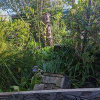 Beautiful garden to enjoy while you eat at The Crêpe Place in Santa Cruz