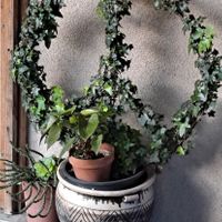  at Peace Pies in San Diego