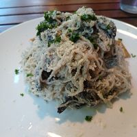 Mushroom Stroganoff 🍄 at Peace Pies in San Diego