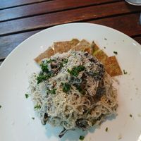 Mushroom 🍄 Stroganoff at Peace Pies in San Diego