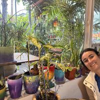   at Peace Pies in San Diego