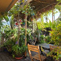  at Peace Pies in San Diego