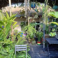 Wonderful garden seating  at Peace Pies in San Diego