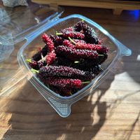 Fresh picked Mulberries 🤘🤘🤘  at Peace Pies in San Diego