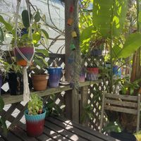 Beautiful garden for outdoor seating  at Peace Pies in San Diego