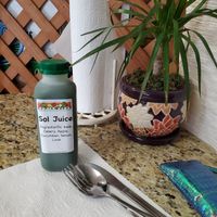 Sol juice at Peace Pies in San Diego