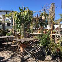 Beautiful outdoor seating  at Peace Pies in San Diego
