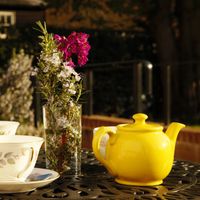 Beautiful garden at Freedom Caffe in Sutton