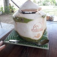 Coconut water at Little Cookies in Koh Phangan
