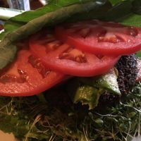 Raw burger at Liquid Earth in Baltimore