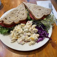   at Liquid Earth in Baltimore