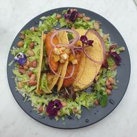 Vegan Taco at Jamaica Blue in Brookvale