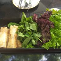 Hanoi Rolls at Ginger in Shanghai