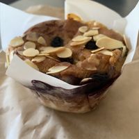 Vegan blueberry, apple muffin at The Baker's Pantry in Noosaville