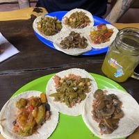   at Mr. Taco in Bacalar