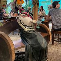  at Mr. Taco in Bacalar