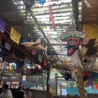   at Mr. Taco in Bacalar