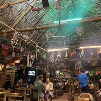   at Mr. Taco in Bacalar