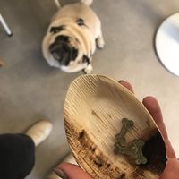 They even had vegan treats for the dog 🐾   at 4minutes Cafe in Budapest