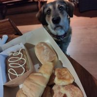 Milhoja, Croissant, Hojaldres at The Vegan Bakery (formerly Panadería Rocks) in Bogota