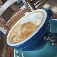Café at Cactus Creme Cafe in Whanganui