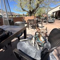 Patio area  at Gaia's Garden Cafe in St George