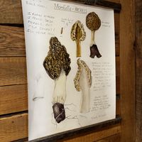   at Hash in Stone Ridge