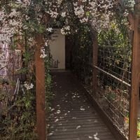  at CactusBerry in Santiago