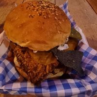 Chido charva at The Tanners Arms in Newcastle Upon Tyne