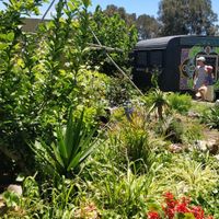 Gardens at Freaks of Nature in Culburra Beach