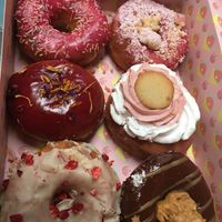 Eine Vielzahl an veganen Donuts. Zum Teil auch Special Editions at Brammibal's Donuts - Friedrichshain in Berlin