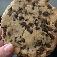 Chocolate chip cookie at The Underground Bakery in Dennis