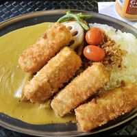 Vegetable curry with tofu katsu. at Mr Japanese Curry in Vancouver