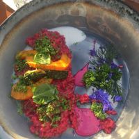 Red beet risotto  at Gasthaus Siriuskogl in Bad Ischl